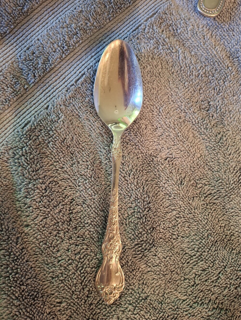 Ornate Decorative Serving Spoon in Silver La France Pattern